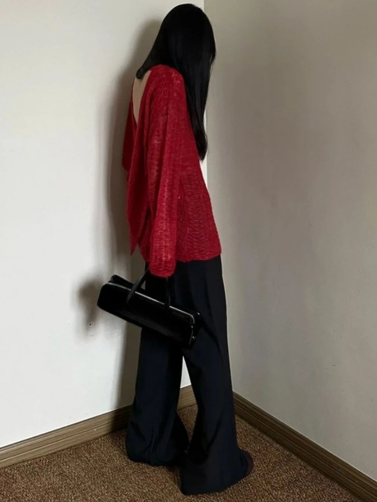 Y2K See-Through Knitted Women' - Embroidery Knit review and price